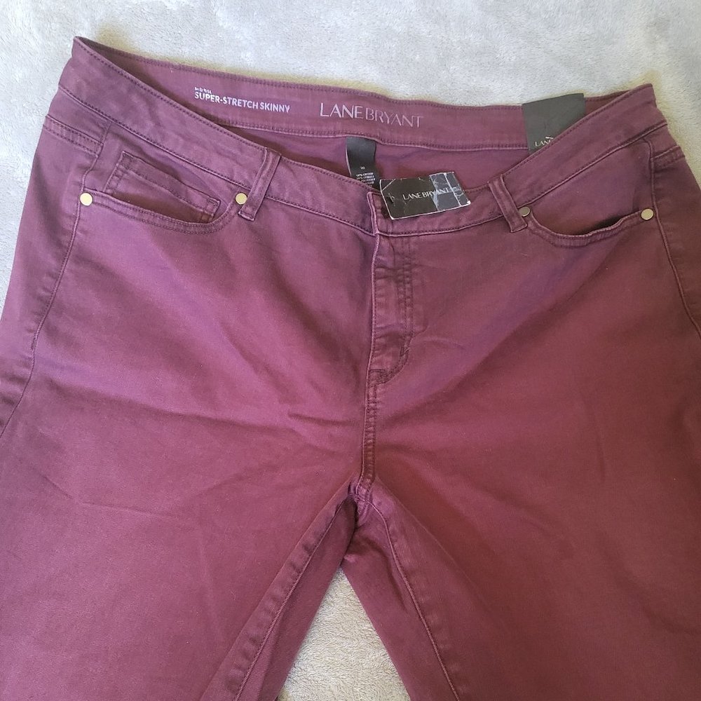 Plus Size Lane Bryant Jeans - Brand New, Never Worn